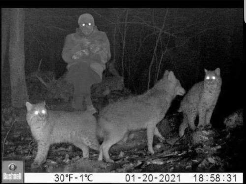 142429972_233936914998864_5248880521177431926_o