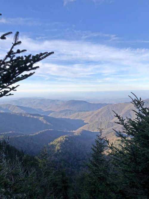 11:08:47 GMT-0500 (EST).image