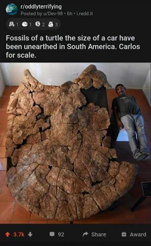 14:42:37 GMT-0500 (EST)