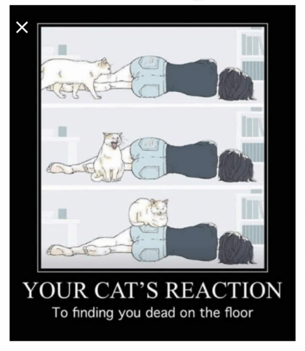 15:48:43 GMT-0800 (PST)