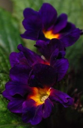 03:26:36 GMT-0600 (CST)