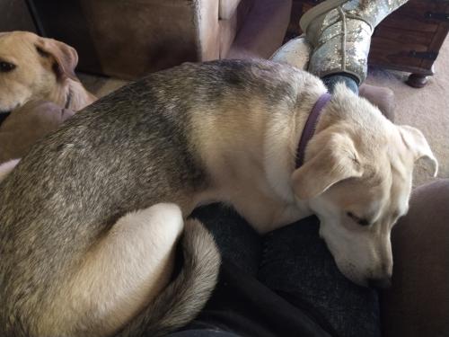 134987677_4061179180560146_3171892508042367980_o