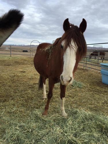 17:56:35 GMT-0800 (PST).image