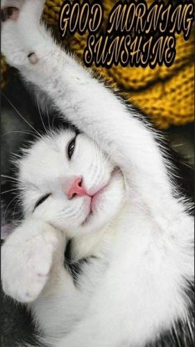 08:00:07 GMT-0600 (CST)