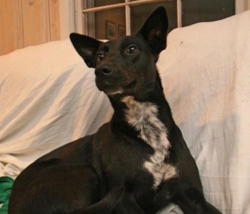 10:06:47 GMT-0600 (CST).image