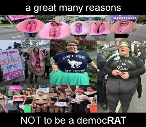 democrats398