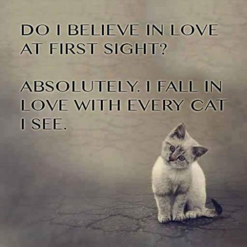 11:13:55 GMT+0100 (WAT)