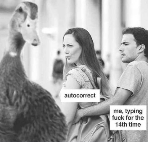 08:14:41 GMT-0500 (EST)