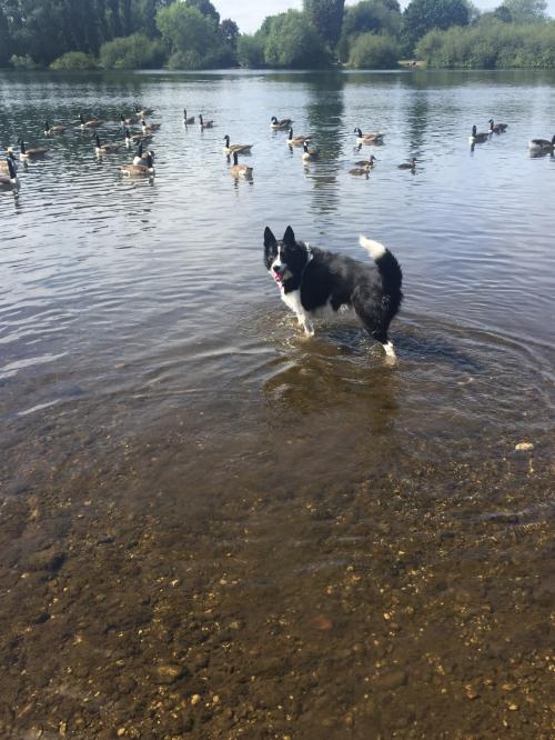 943AB519-3585-4775-985F-65A3FB292038