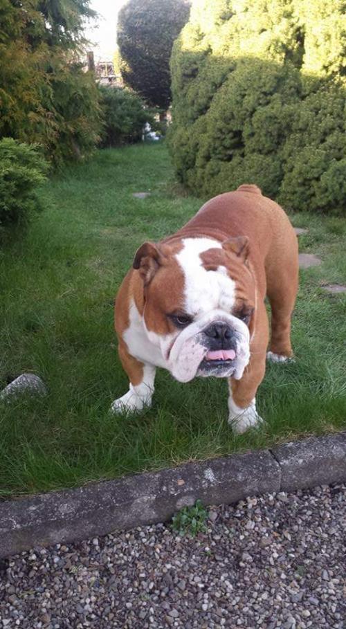 19:17:22 GMT+0100 (WAT)