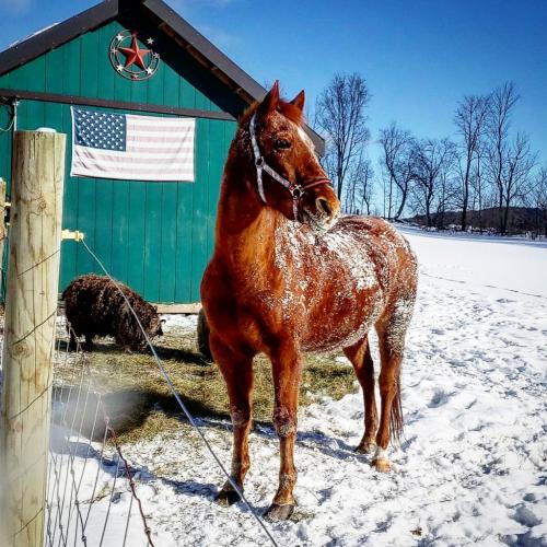 11:17:40 GMT-0500 (EST)