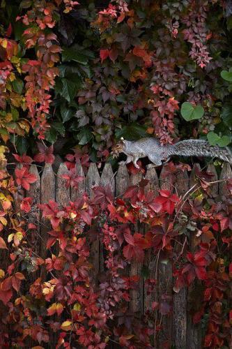 139766662_1494628854069793_4673117885547582456_n