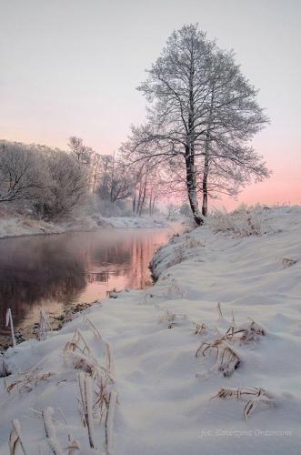 135731238_1487639718102040_7483082533135835456_n