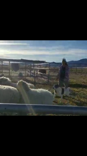 07:56:49 GMT-0800 (PST).image