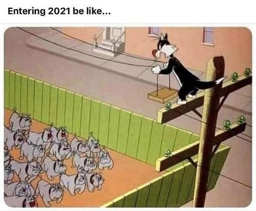 entering2021belike