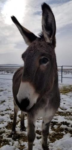 07:56:24 GMT-0800 (PST).image