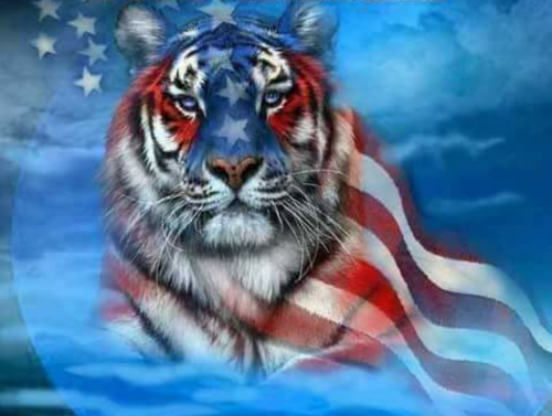 09:20:43 GMT-0500 (EST).png