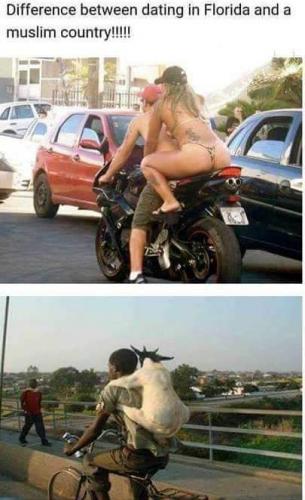 11:54:29 GMT-0600 (CST)