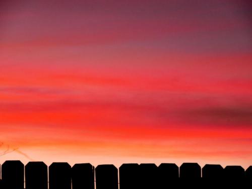 Fence Sunset