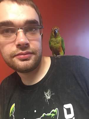 11:40:36 GMT-0500 (EST)