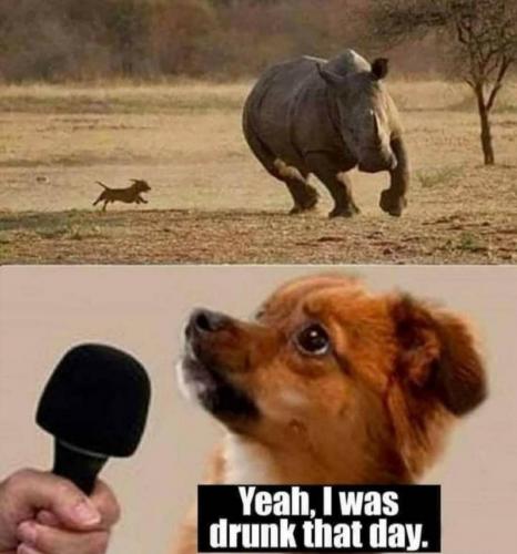 06:05:03 GMT-0500 (EST)