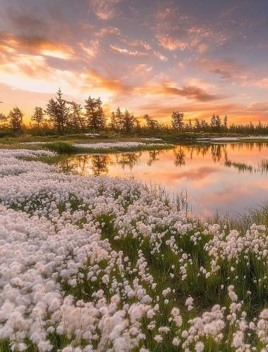 136936942_1487639834768695_8598721210101369837_o