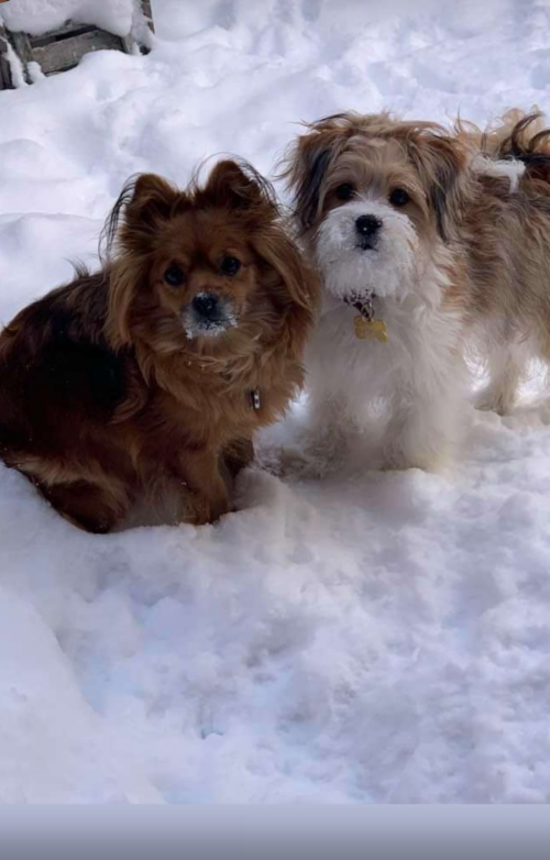 02:17:35 GMT+0100 (WAT).png