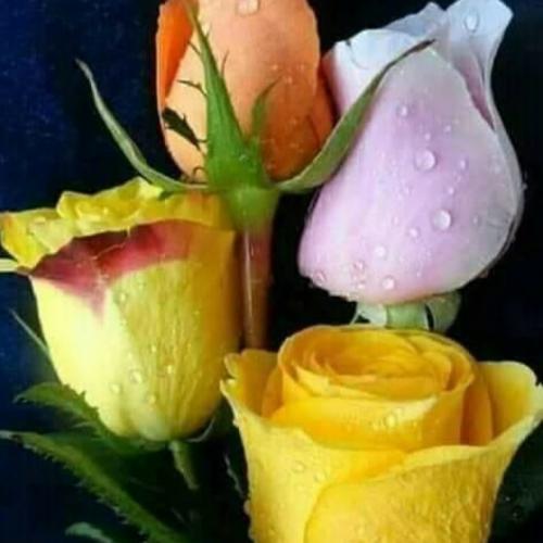 01:48:31 GMT-0600 (CST).image