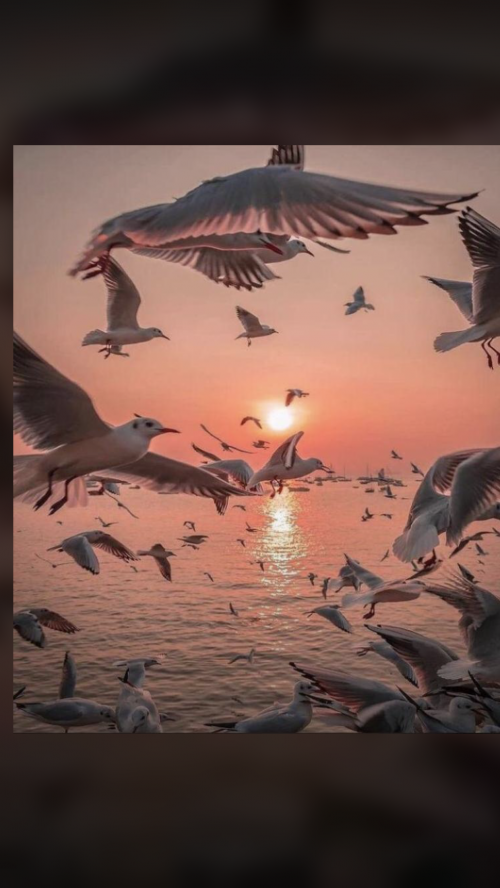 356BA996-FC64-4725-8BBE-457937BA491A