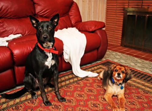 10:16:22 GMT-0600 (CST).image