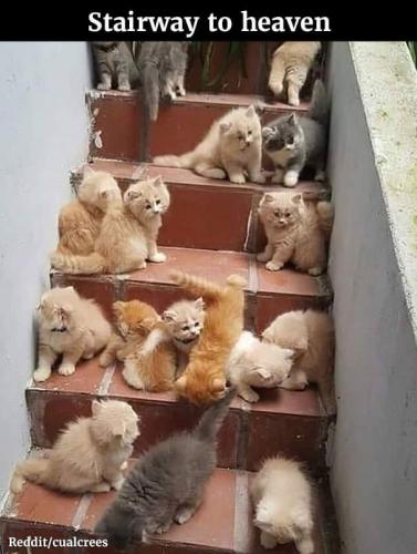 03:22:35 GMT-0600 (CST)