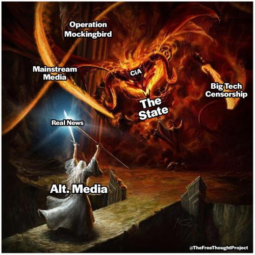 55555555555541ghfghfhvhvgfhfhfg