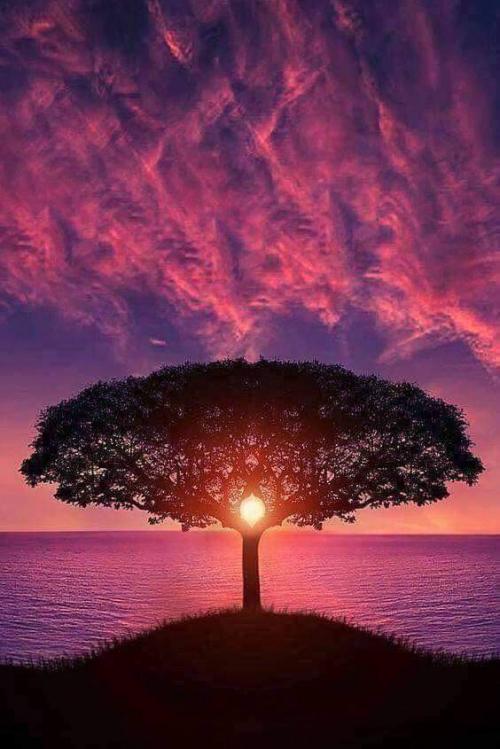 13:51:19 GMT-0600 (CST)