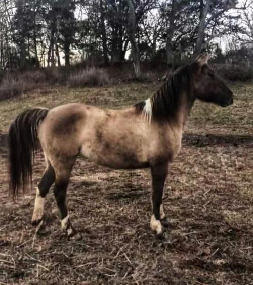 18:13:22 GMT-0600 (CST).image