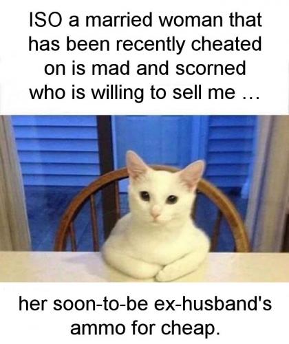 willing to sell her husbands ammo