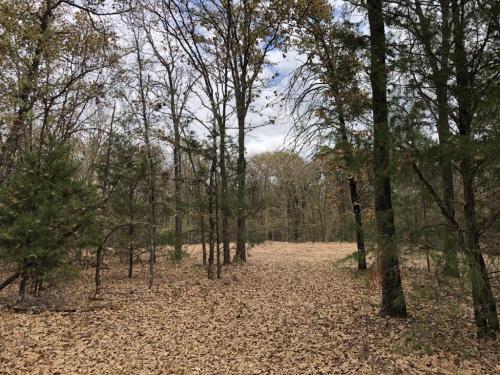 13:40:52 GMT-0600 (CST).image