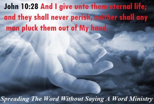 135557765_468491361216189_6135524700261319201_n