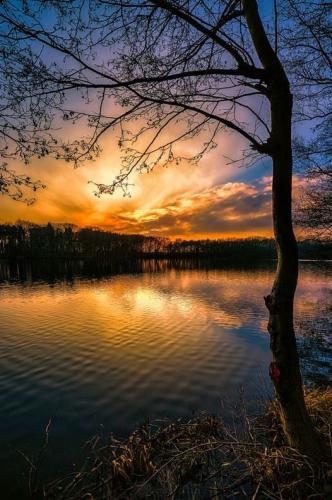 142201942_2509567152681151_7882571073526937923_n