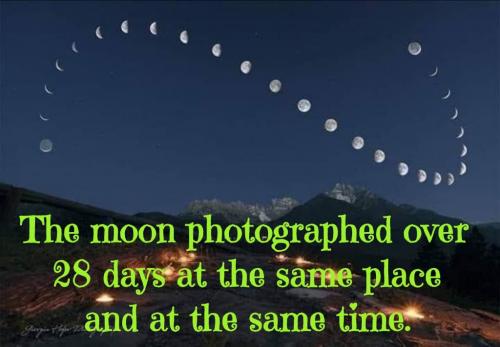 16:51:17 GMT-0900 (AKST)