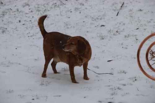 19:23:14 GMT-0600 (CST).image