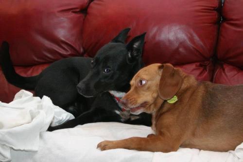 19:25:06 GMT-0600 (CST).image