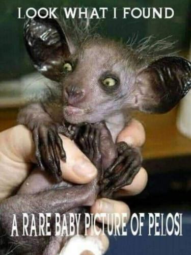 11:41:44 GMT-0600 (CST)