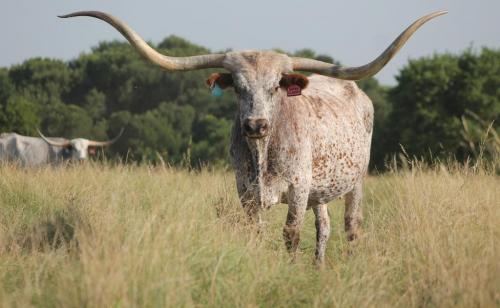 135934414_4064933533536443_4540647562426757932_o