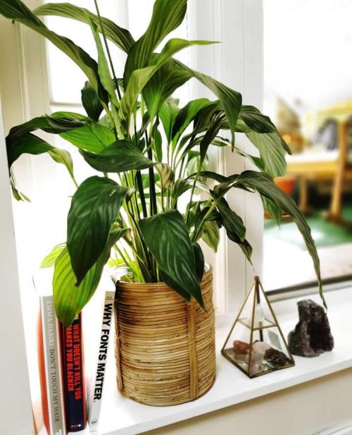 15:35:47 GMT+0100 (WAT)