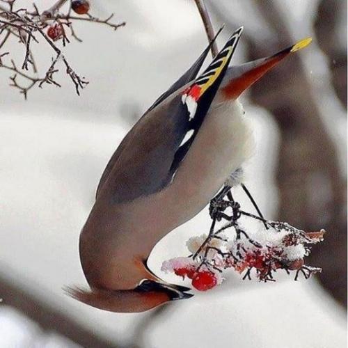 134640095_1534935986705878_5229094550803632614_o