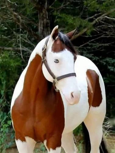 139524200_1573006552907265_6516356543477038039_o