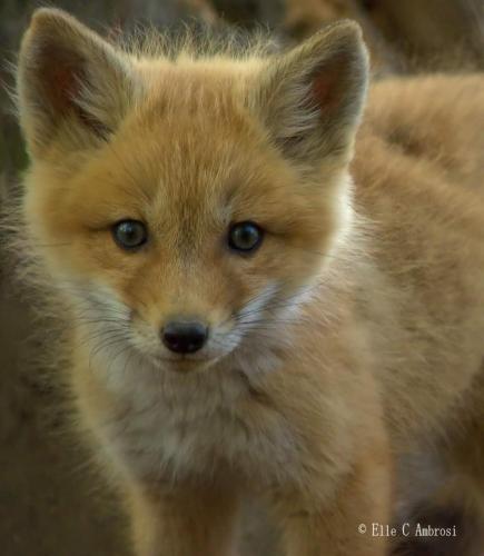 00:13:15 GMT-0600 (CST)