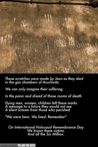 143345527_10222742351054872_8120535629138988788_n