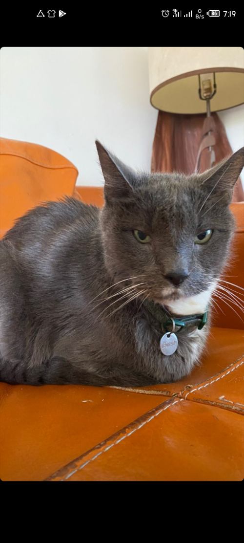 19:42:52 GMT+0100 (WAT).png