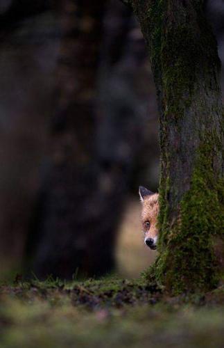 22:43:29 GMT-0600 (CST)